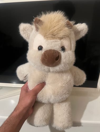 Customer photo review of Original Movito™ El peluche que corre