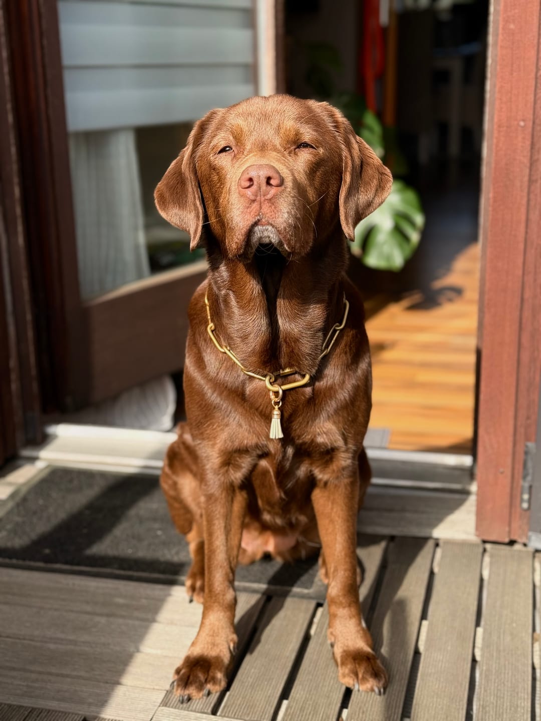 Customer photo review of Langgliedrige Eastside Chain