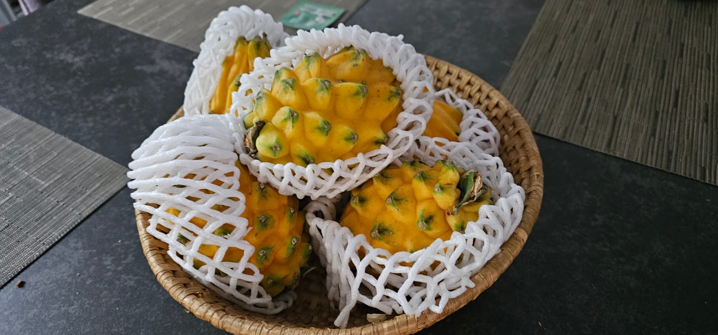 Customer photo review of Goldene Drachenfrucht Sonderaktion % 2kg Box