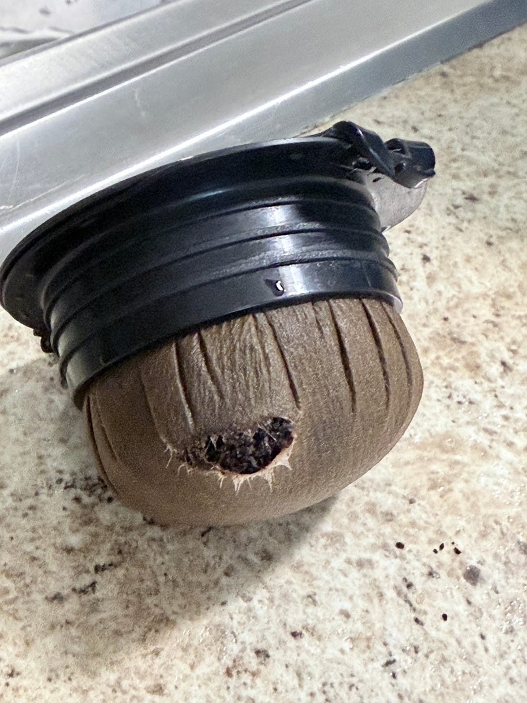 Customer photo review of Savepod® Disposable Coffee Filters - 100% Compostable