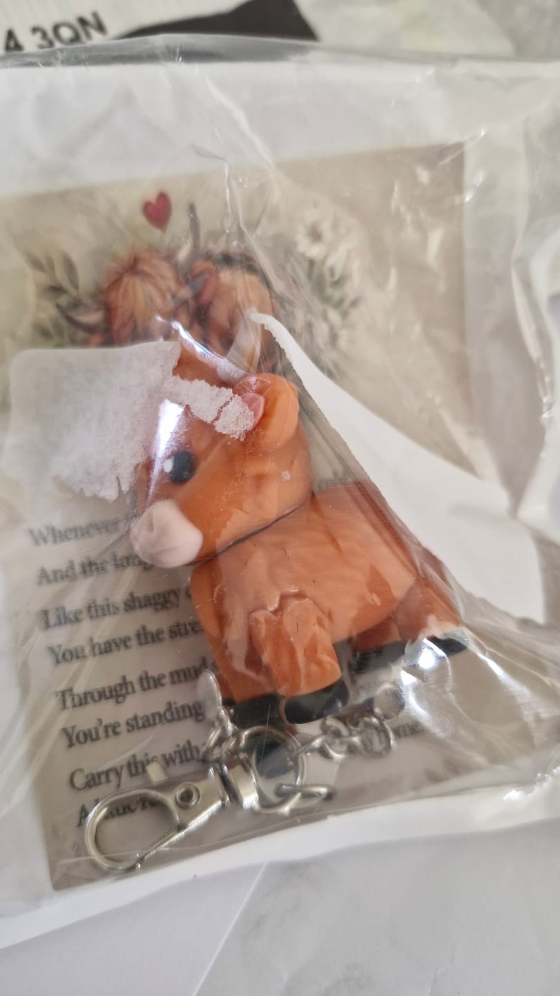 Customer photo review of 🐮A Little Highland Cow For You Keychain: Your Daily Reminder of Quiet Strength