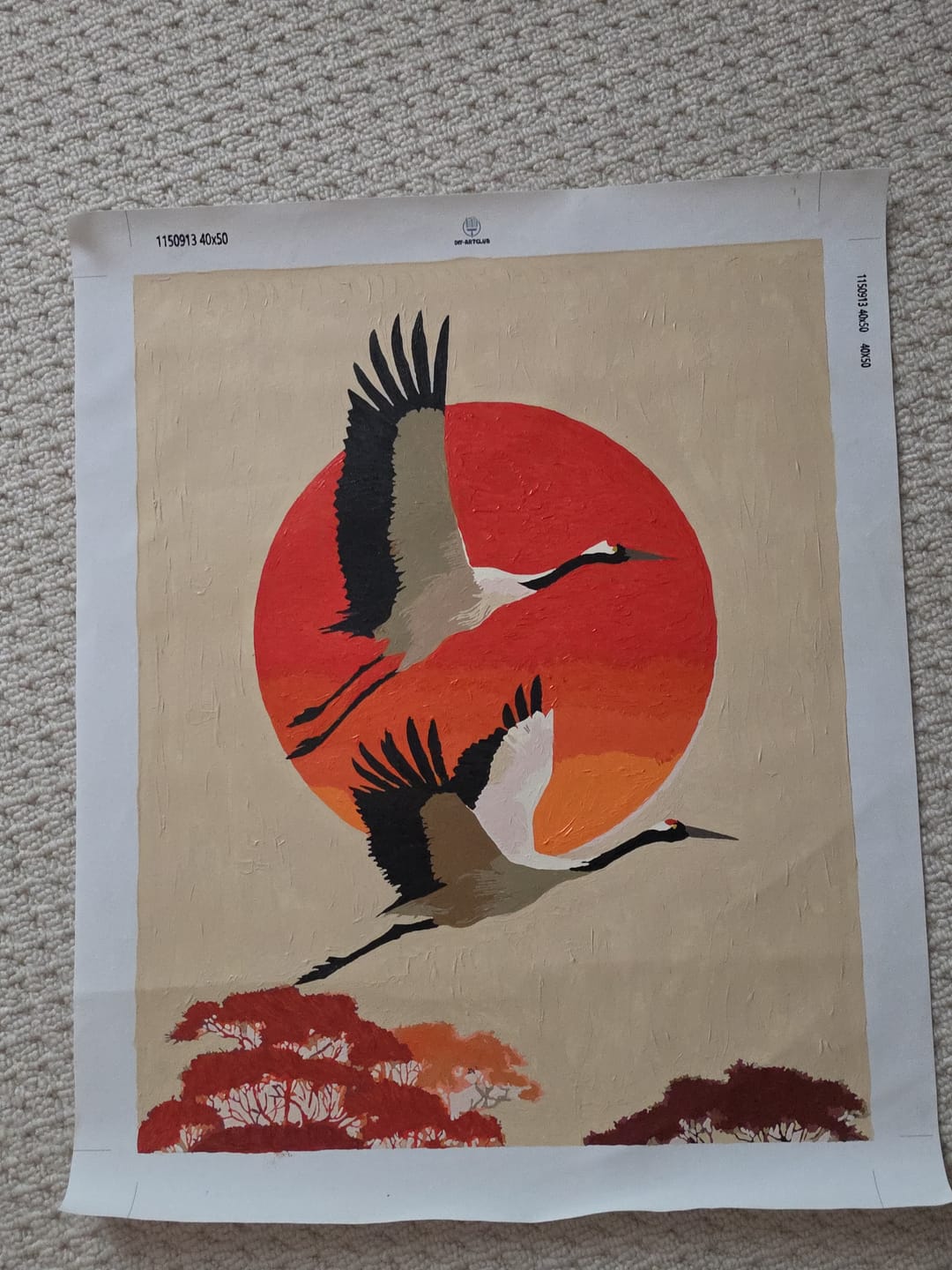 Customer photo review of Two cranes | Paint by Number