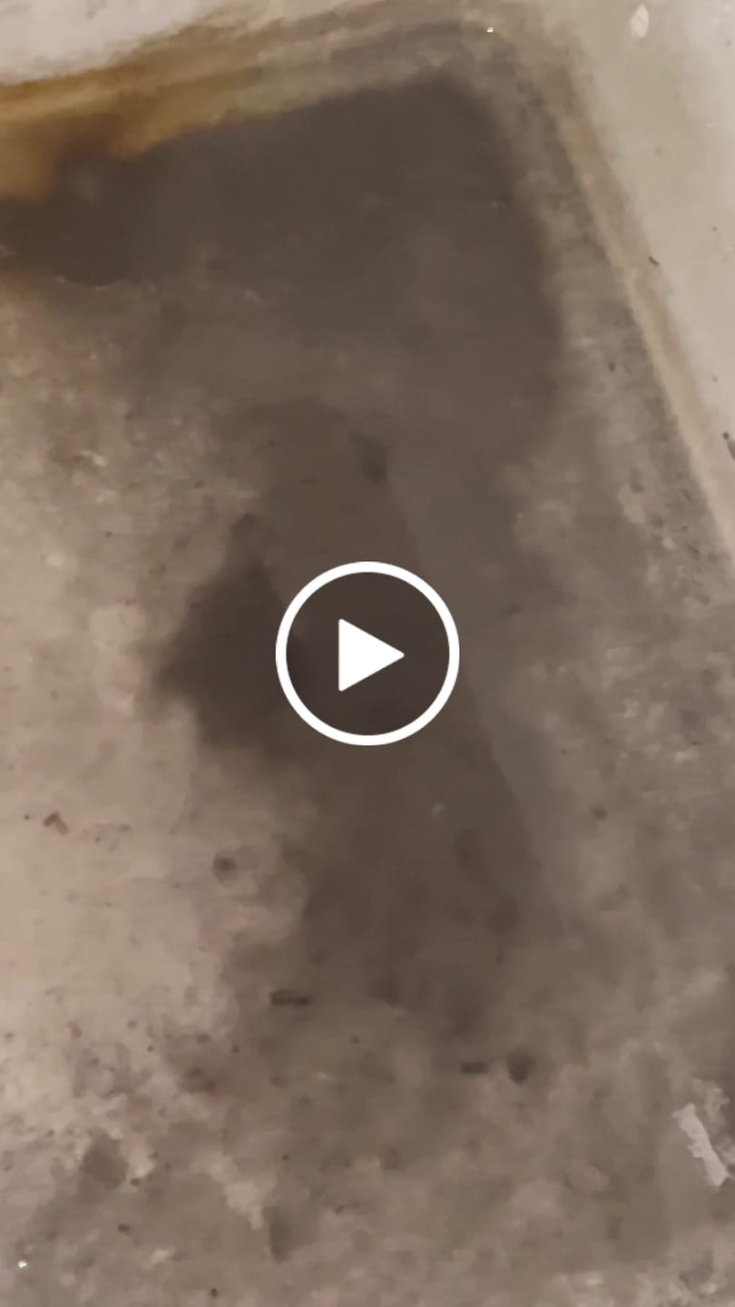 Customer video review of Kit MelmaNoMore