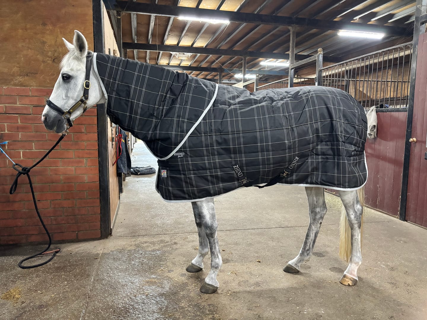 Customer photo review of Rhino Stable 250g