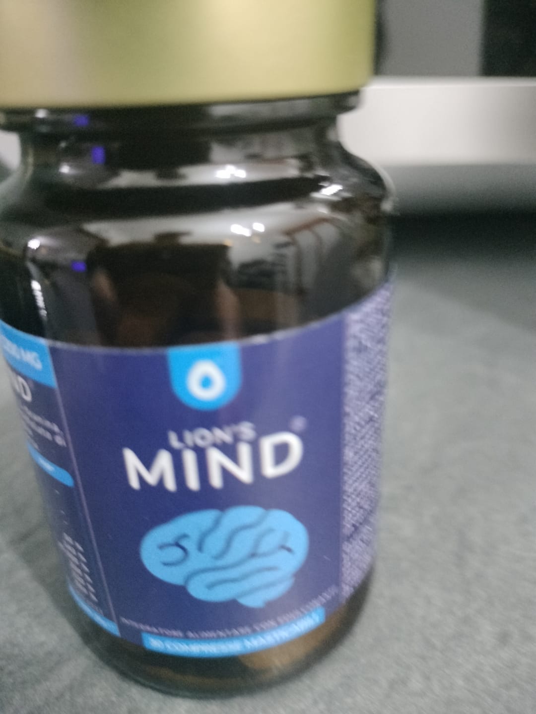 Customer photo review of Lion's Mind