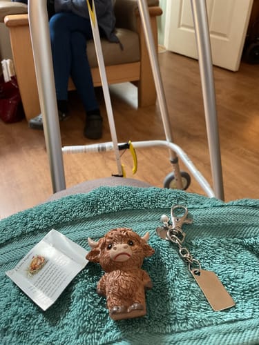 Customer's Highland Cow keychain with the cow figurine separated from the metal keyring, laid on a green towel.