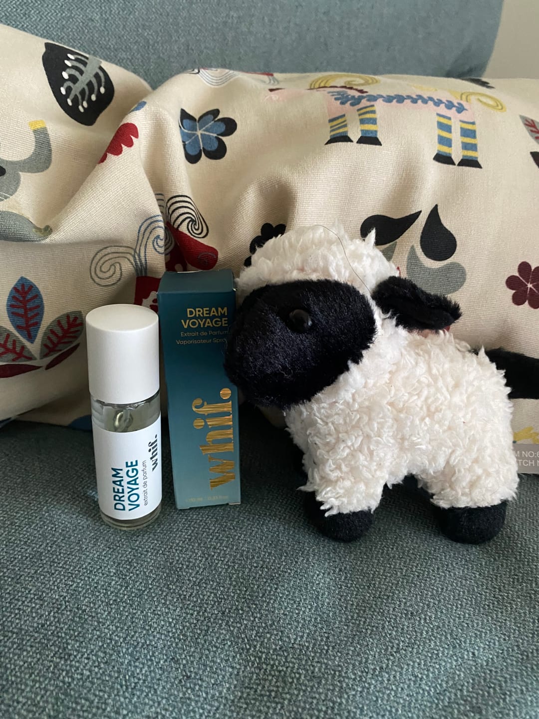 Customer photo review of Dream Voyage