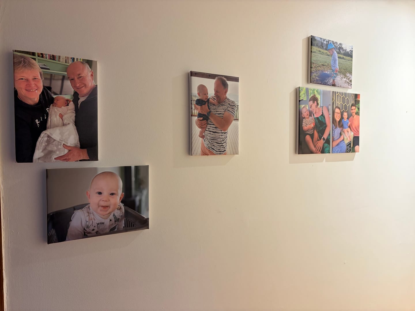 Customer photo review of 6 x A4 Canvas Combo