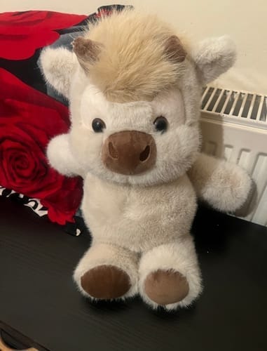 Customer photo review of Original Movito™ El peluche que corre