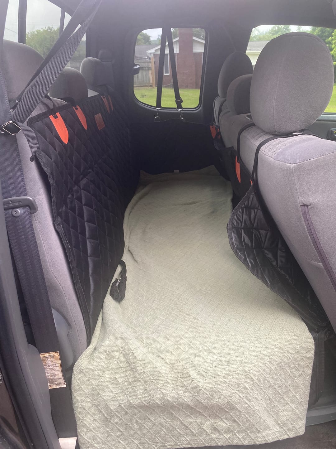 Customer photo review of CozyRider™  Dog Seatbelt
