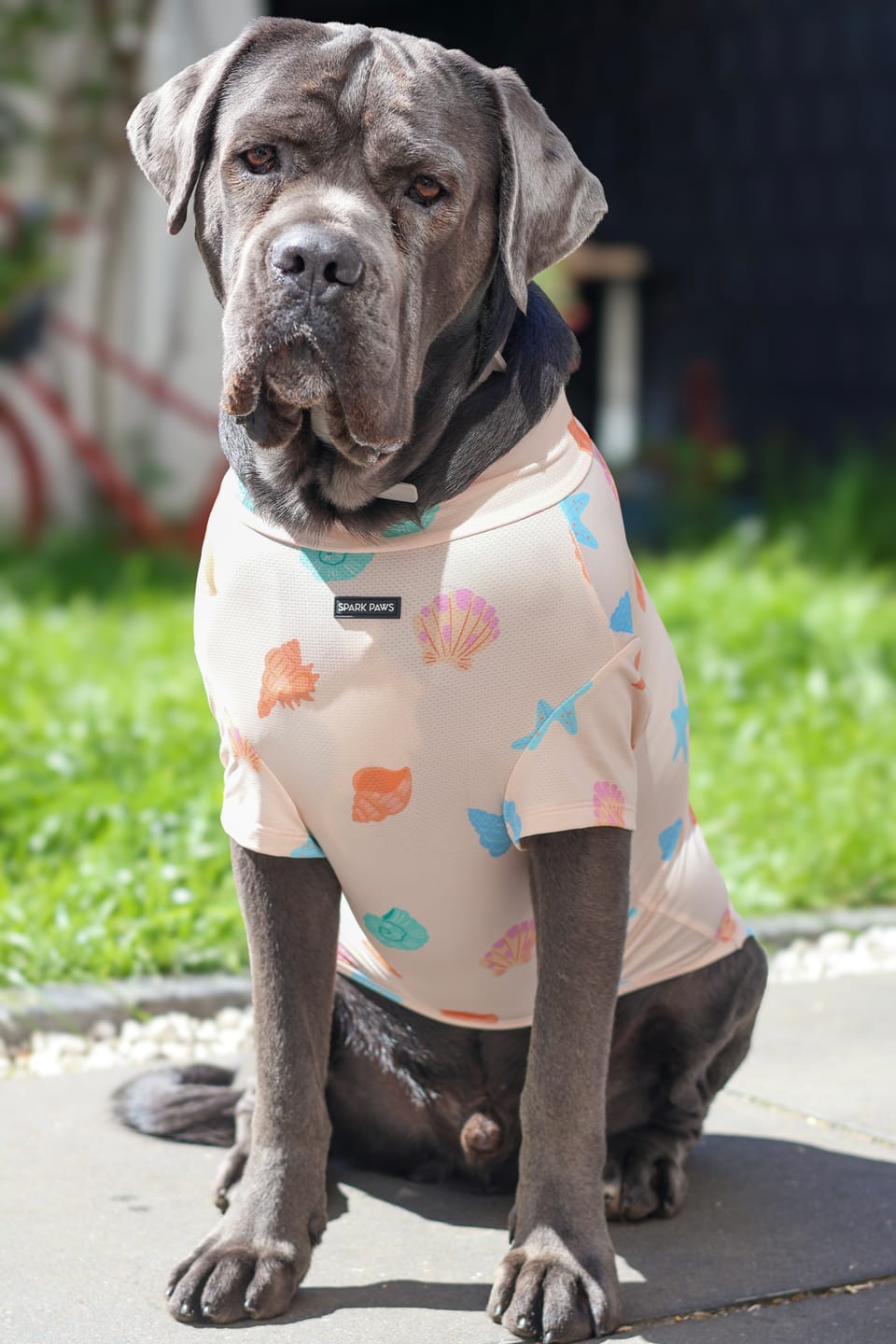 Customer photo review of Sunblock Dog T-Shirt - Seashell