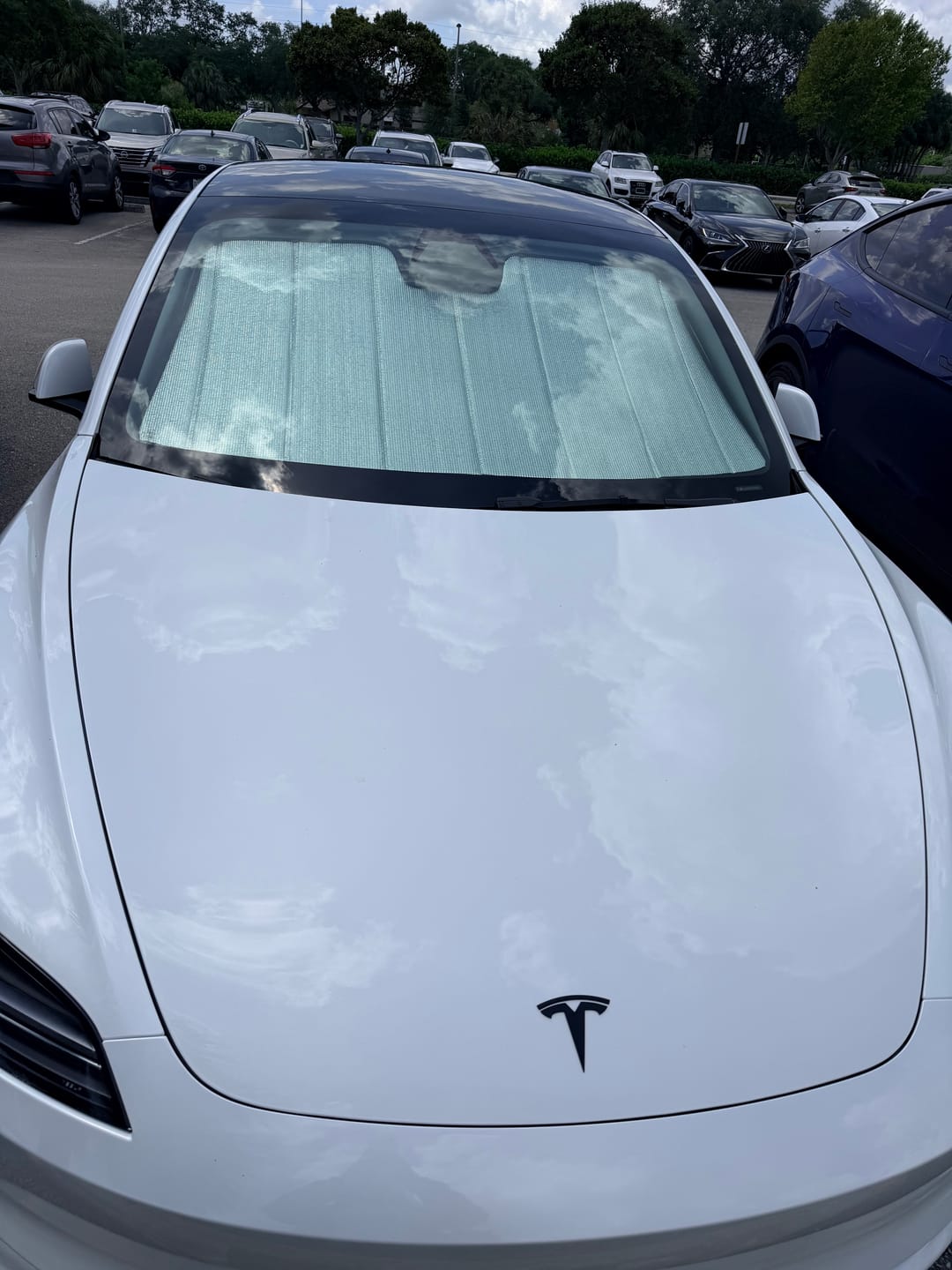 Customer photo review of Thickened Foldable Windshield Sunshade Sun Visor for Tesla Model 3/Y