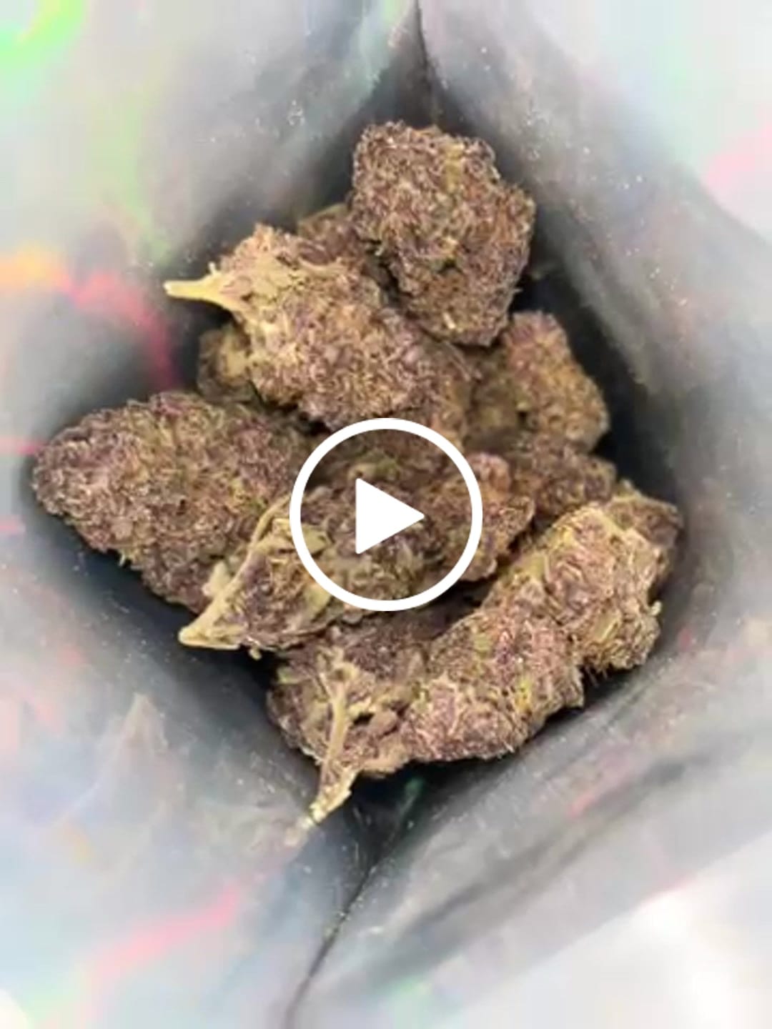 Customer video review of Granddaddy Purple - 28 Grams - Indica