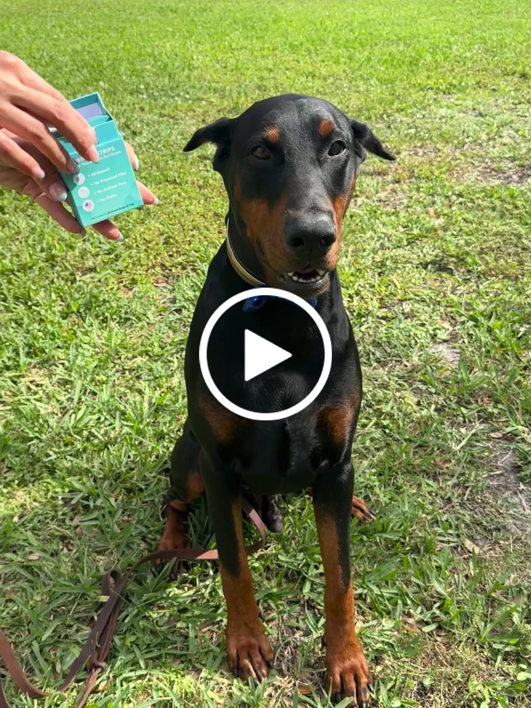 Customer video review of DENTAL STRIPS