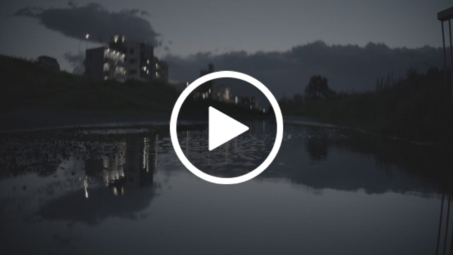 Customer video review of Arcana 1.5X Anamorphic T2.1 Full frame