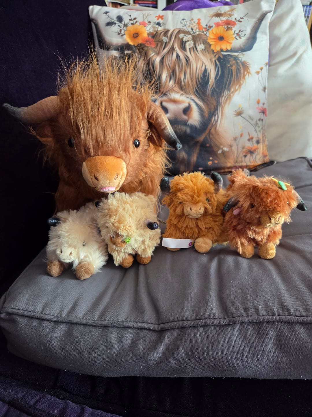 Customer photo review of Scottish Highland Cow Cattle Stuffed Animal with 4 Calves
