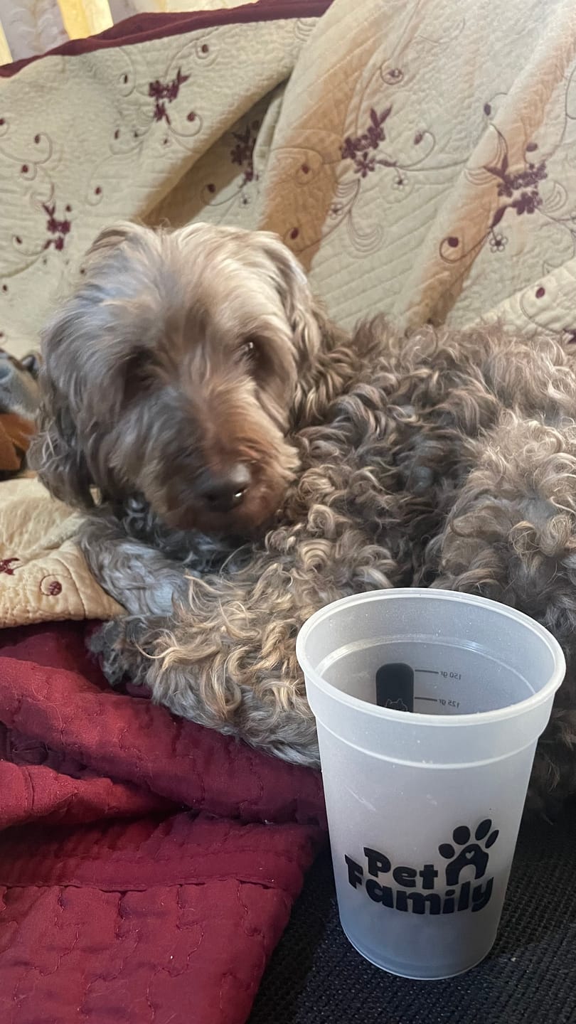 Customer photo review of PetFamily Foods