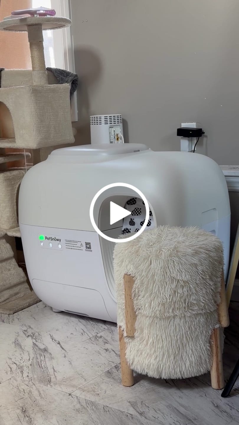 Customer video review of Self-Cleaning Litter Box