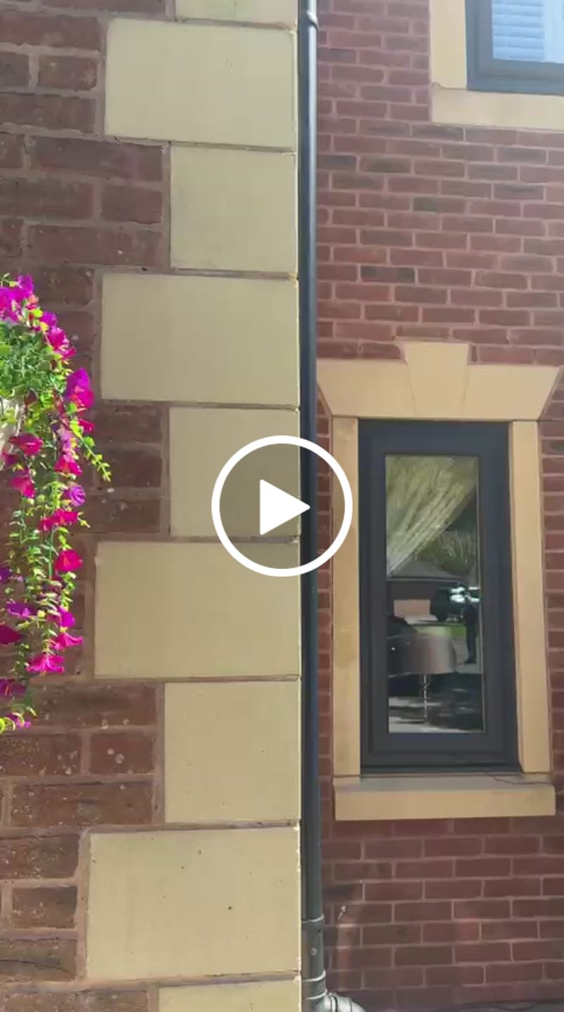 Customer video review of Outdoor Hanging Petunia Basket - Purple