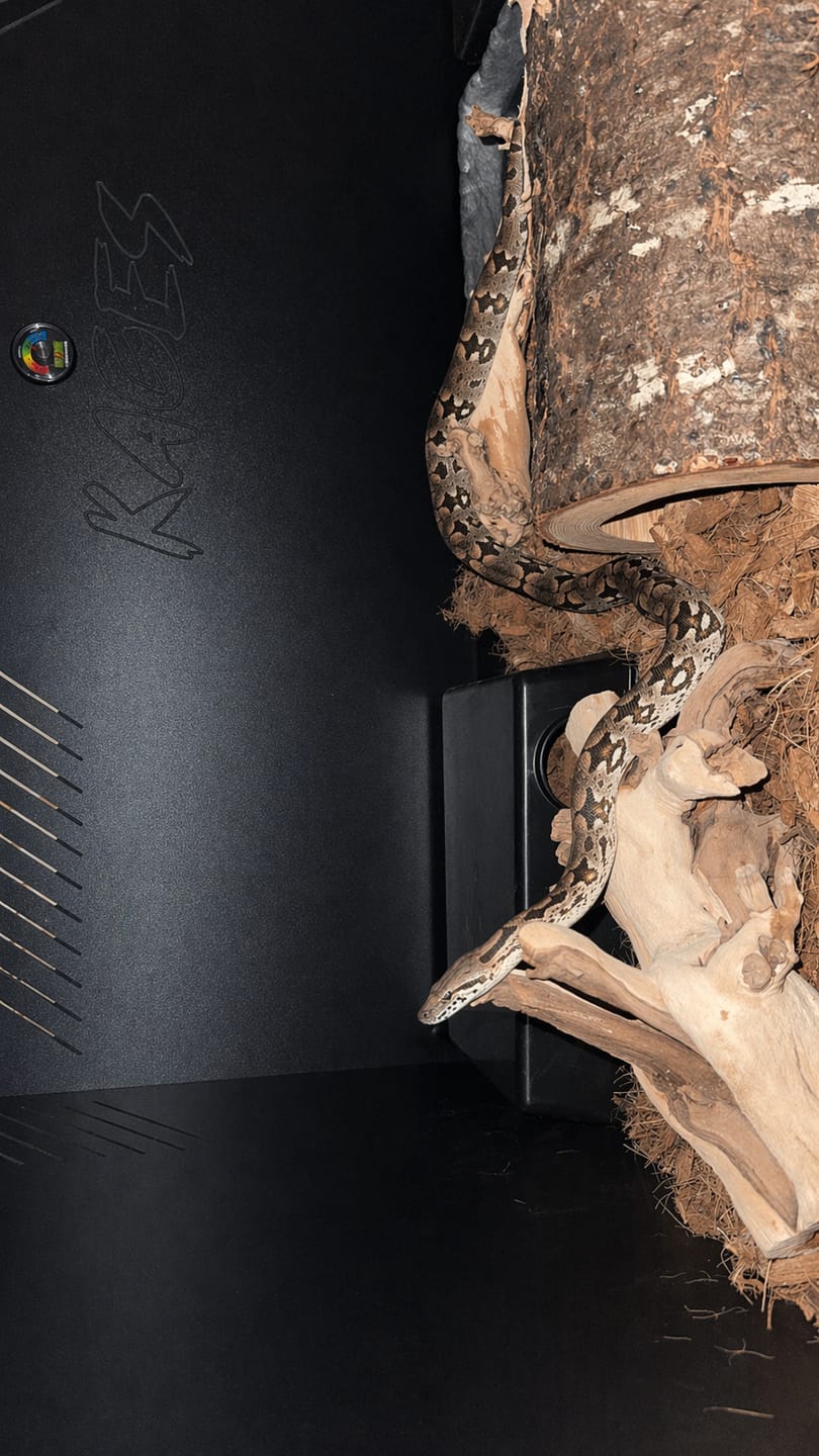 Customer photo review of 48"x24"x24" / 4'x2'x2' Premium PVC Reptile Enclosure