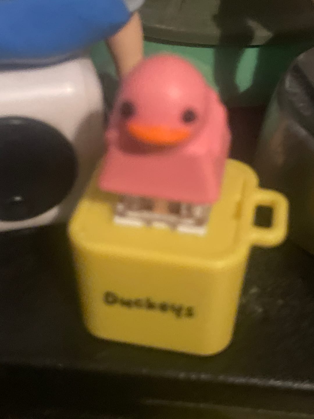 Customer photo review of Quackey - Fidget Toy that Quacks!