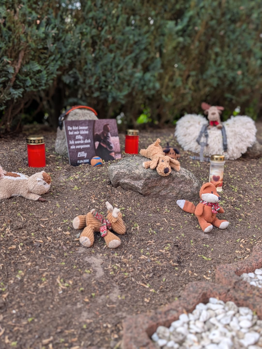 Customer photo review of Hunde Gedenktafel mit Foto & Spruch (UV- & Wetterfest)