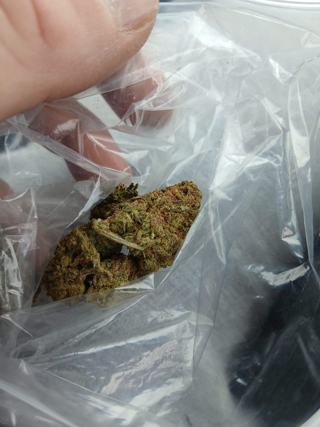 Customer photo review of Jack Herer - 14 Grams - Sativa