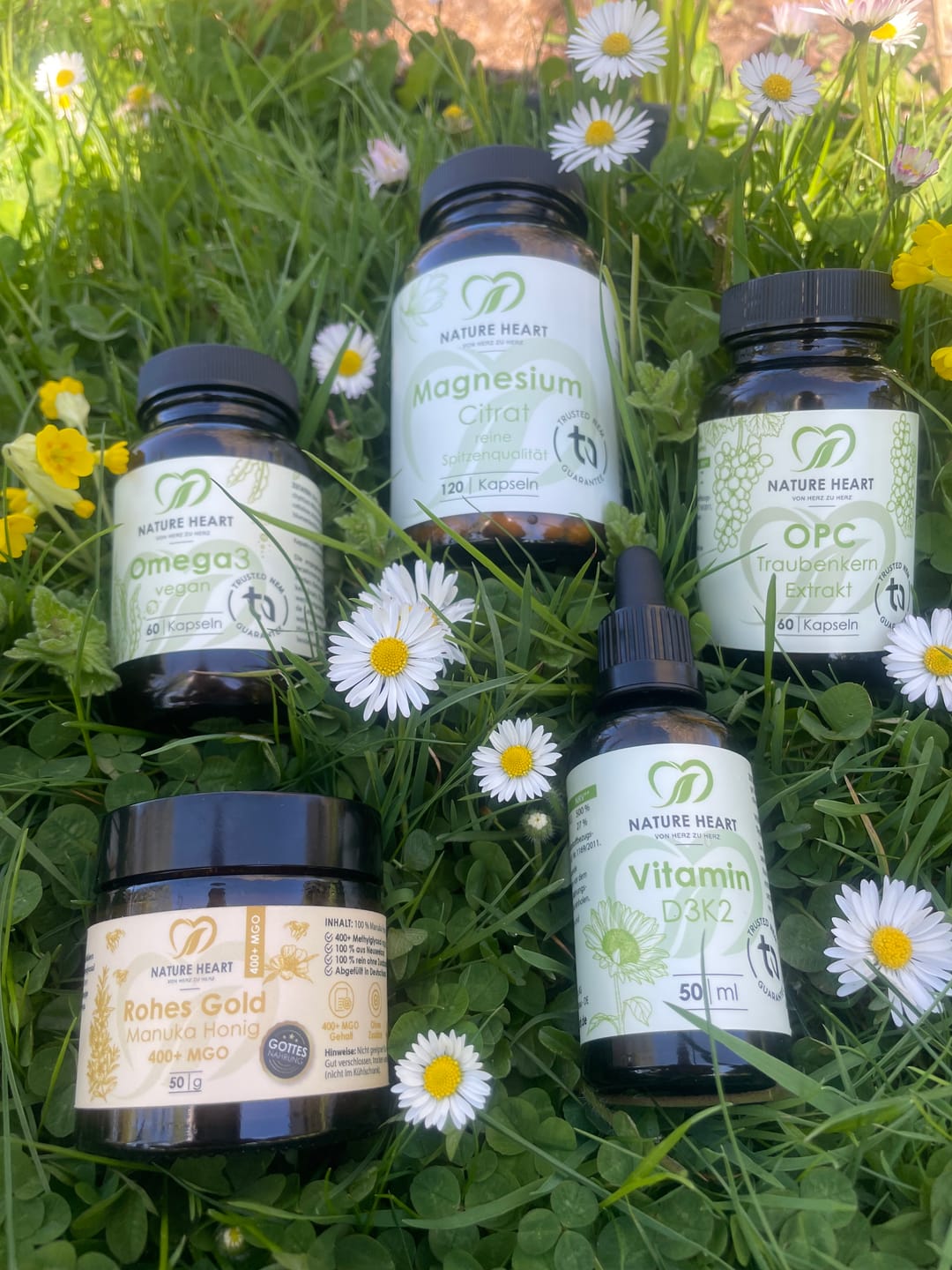 Customer photo review of Bestseller VIP Bundle