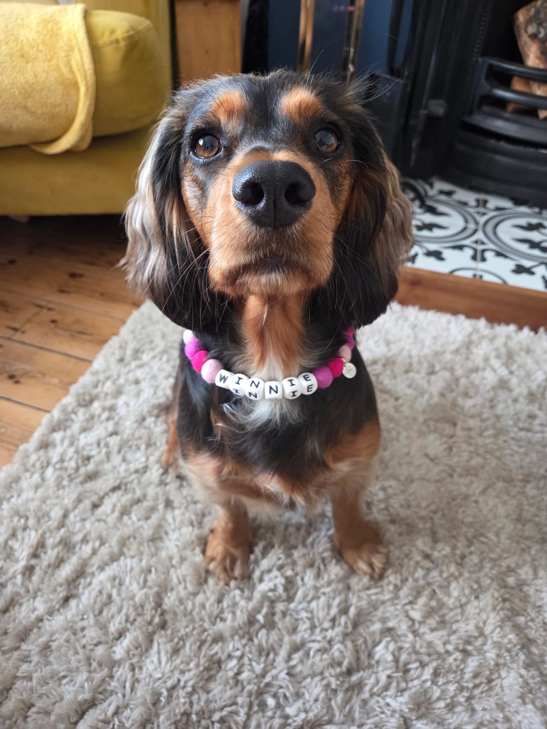 Customer photo review of Alphabet Pom Pom Collar