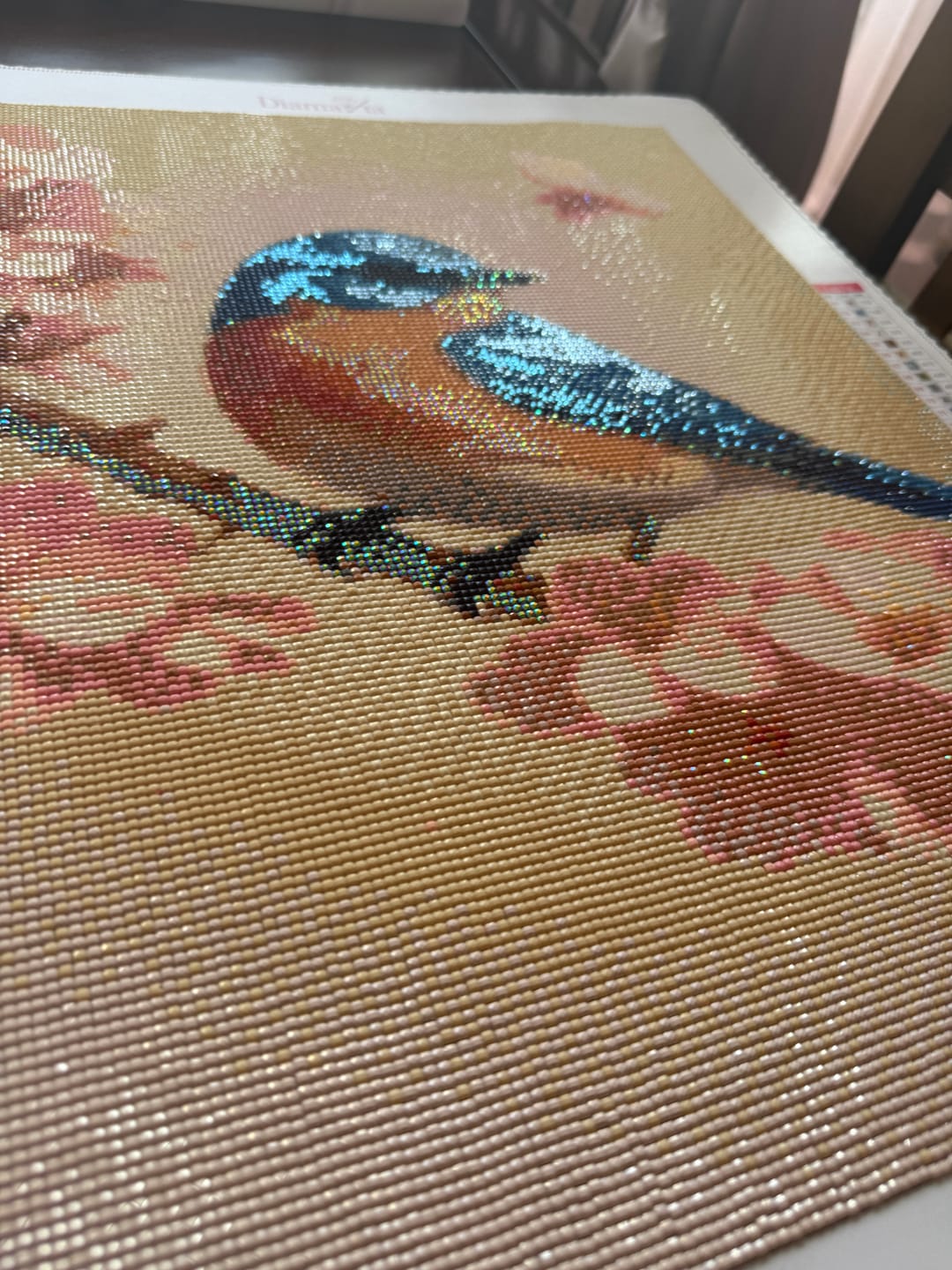 Customer photo review of Bluebird Bloom