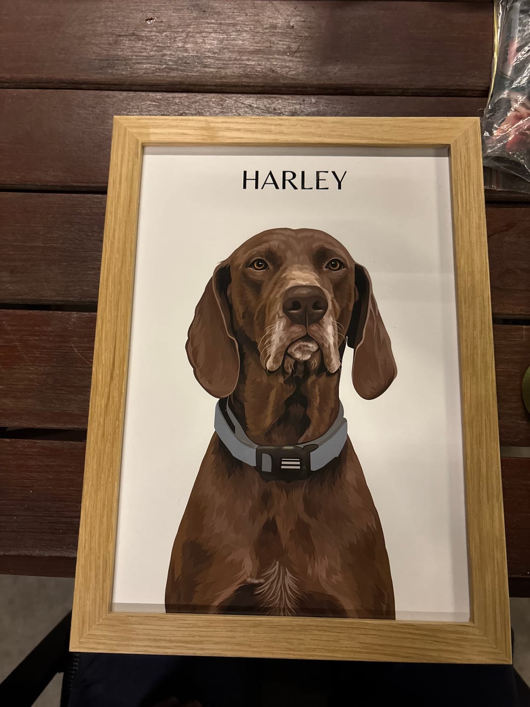 Customer photo review of Custom Pet Portrait