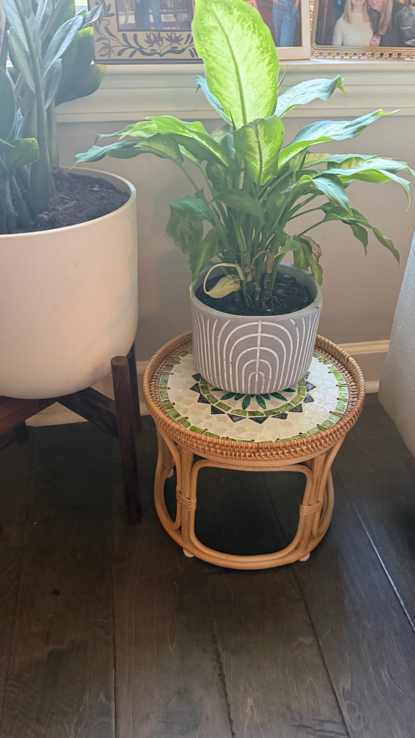 Customer photo review of Oasis Rattan Table Set