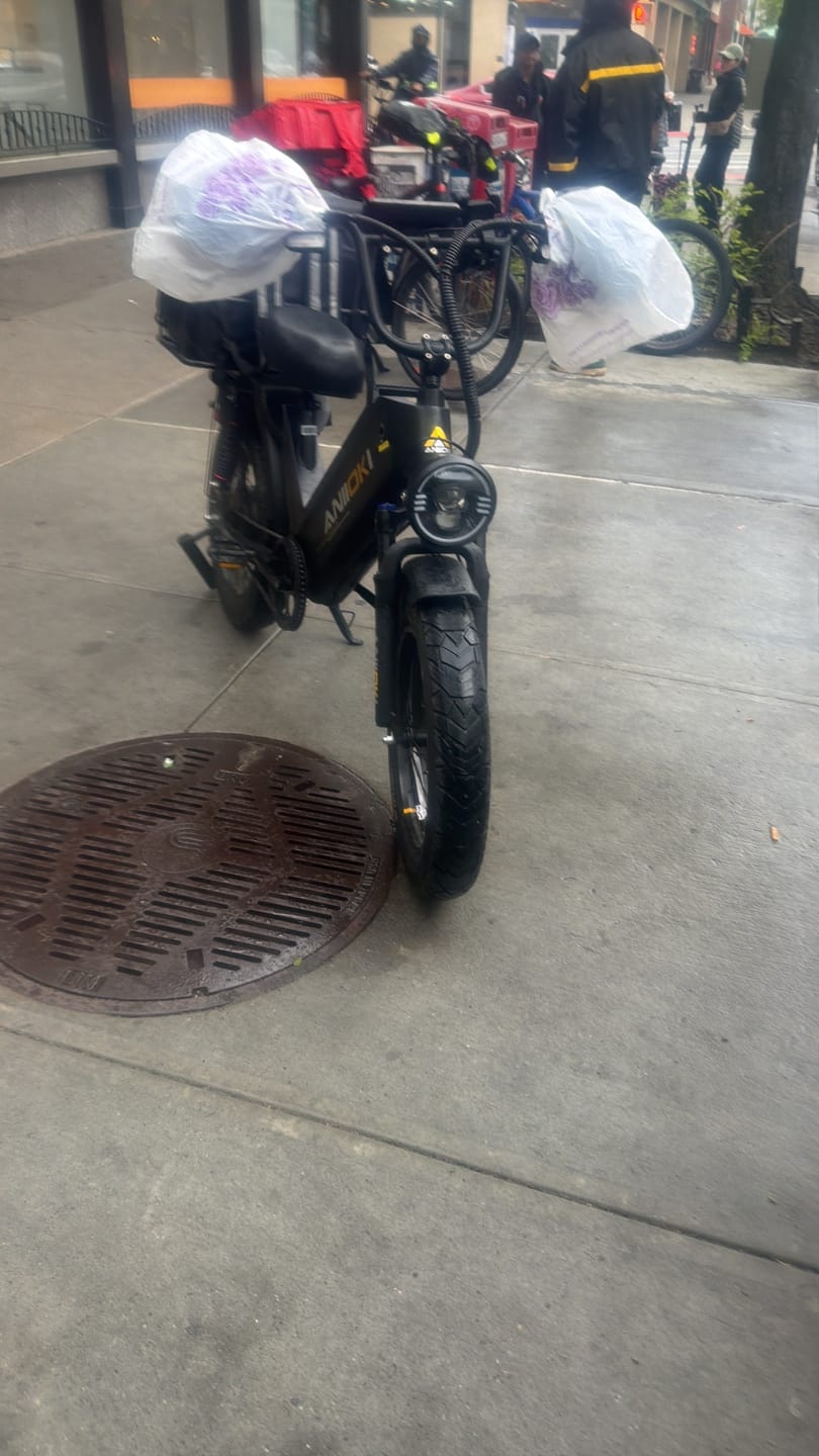 Customer photo review of Aniioki AQ177 Pro Max eBike(2026)