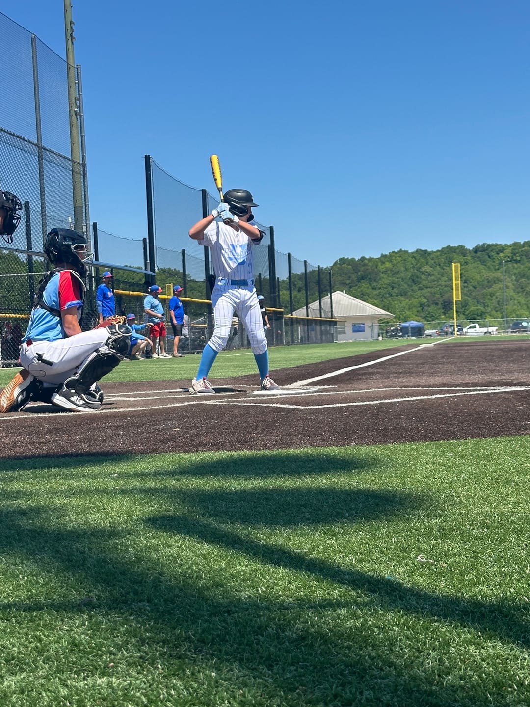 Customer photo review of LP PRO SHORT CUFF BATTING GLOVES