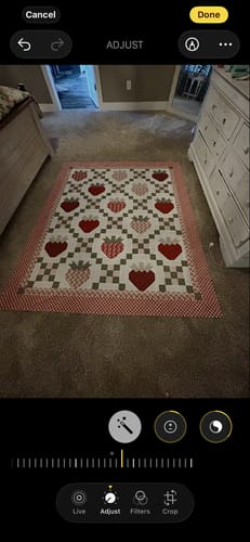 Reviewer's finished Strawberry Fields quilt, with lovely strawberry and heart patches, laid out on a floor.