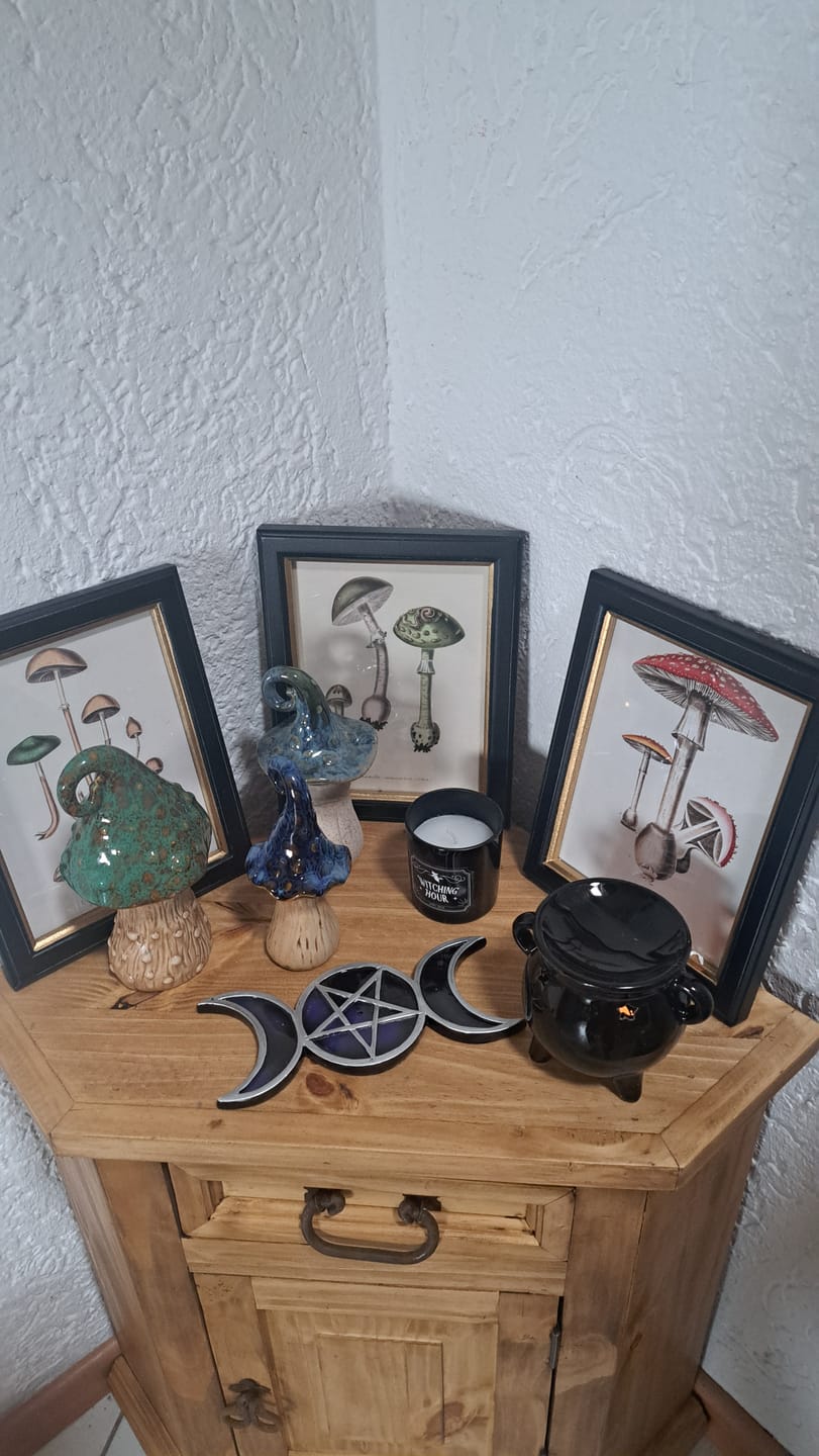 Customer photo review of Vintage Pilz-Wandbilder – Botanische Deko im Rahmen (3er Set)