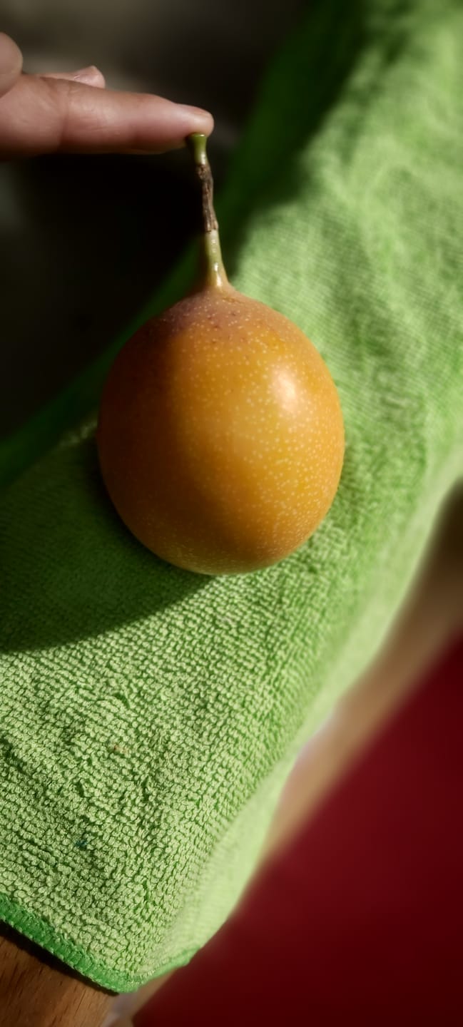Customer photo review of Süße Granadilla Aktionspreis % 1,5kg