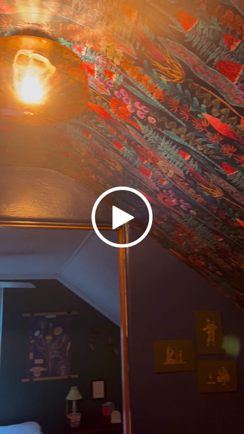Customer video review of 1-Light Caramel Amber Ribbed Glass Round Semi Flush Mount