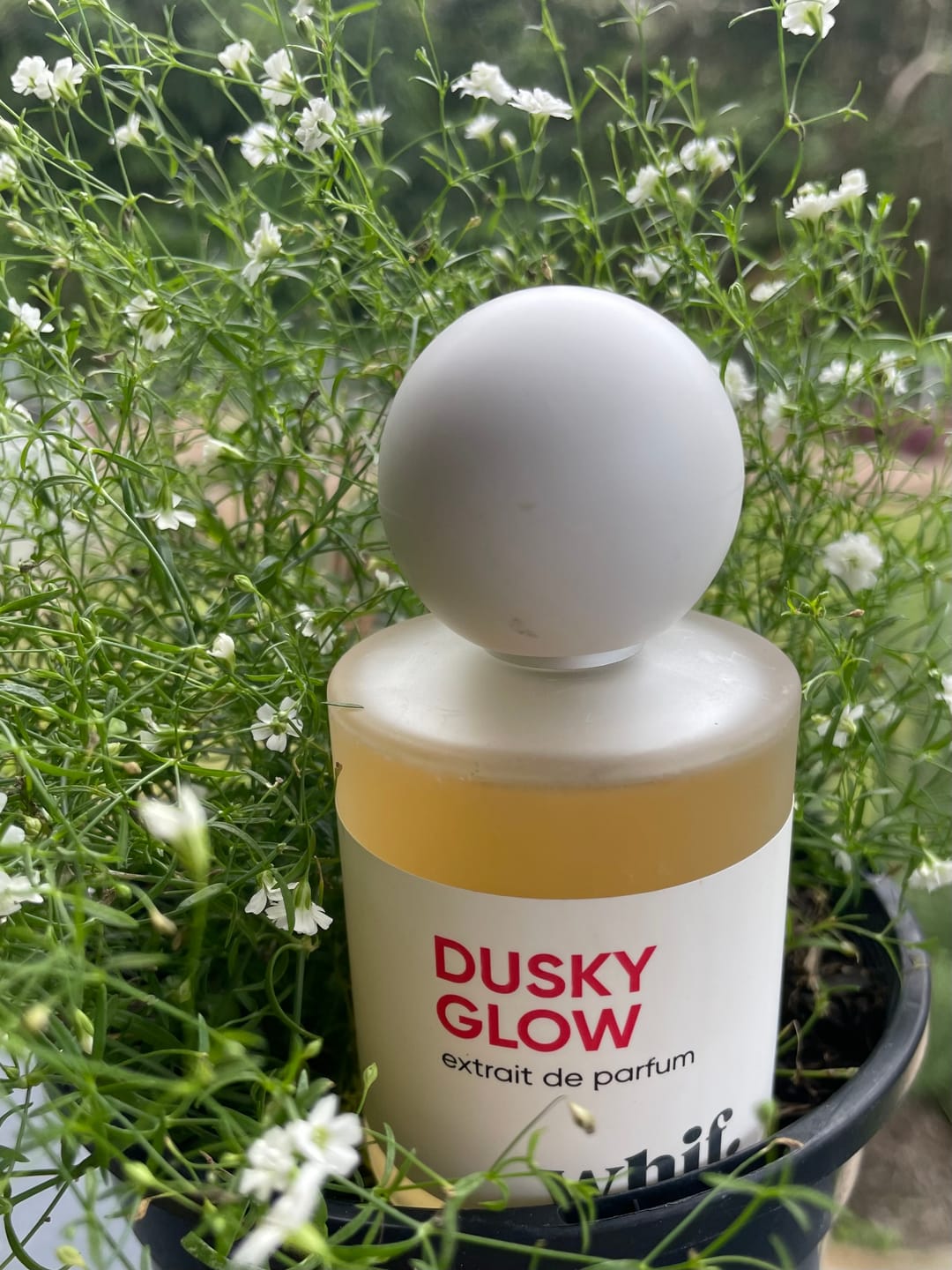 Customer photo review of Dusky Glow