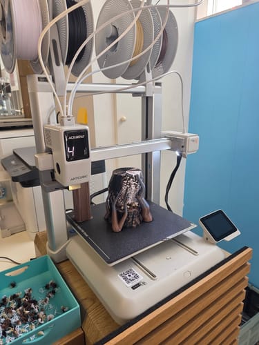 Customer photo review of Anycubic Kobra X