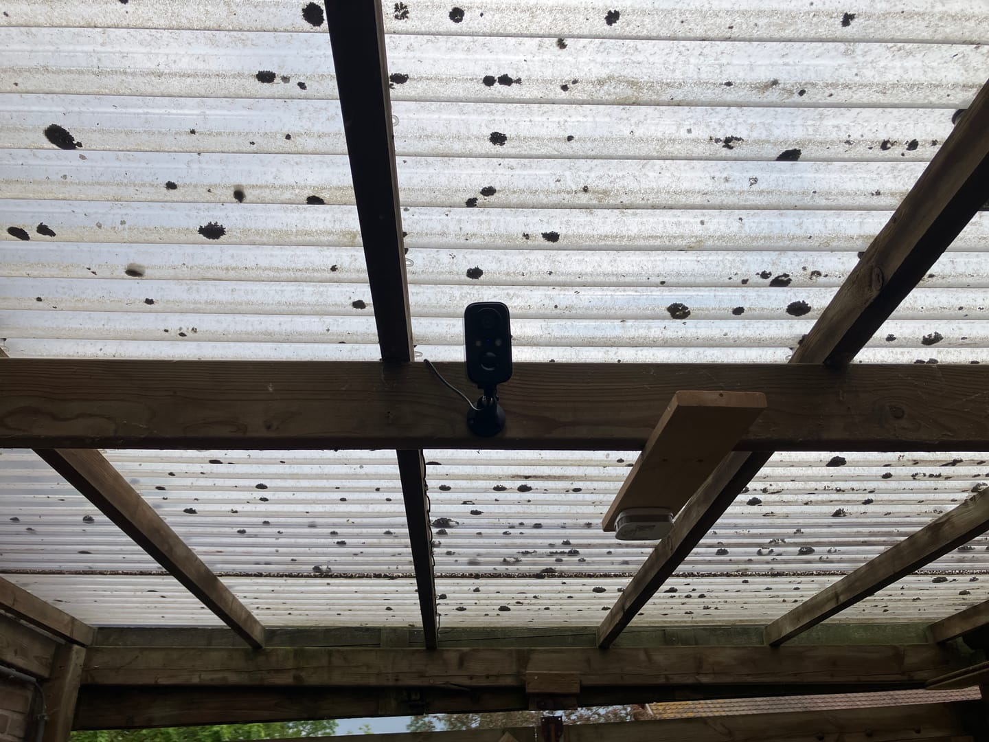 Customer photo review of Protectly® Zonnepaneel Beveiligingscamera's 1,5W