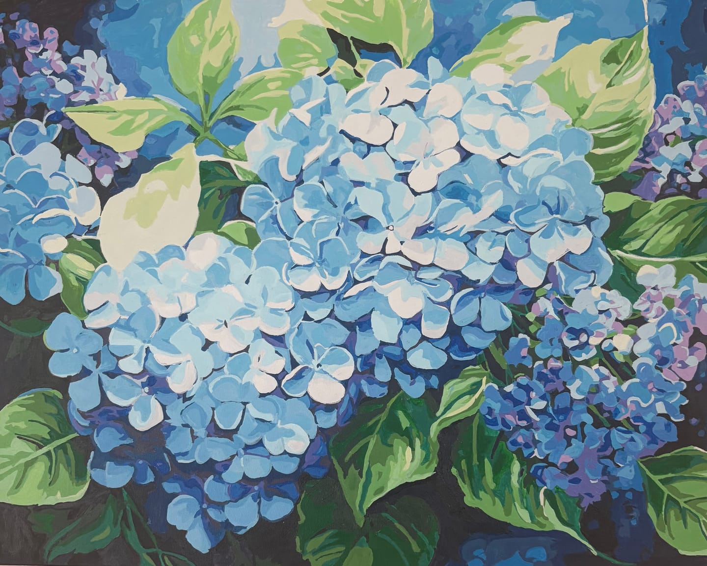 Customer photo review of Blue Hydrangea
