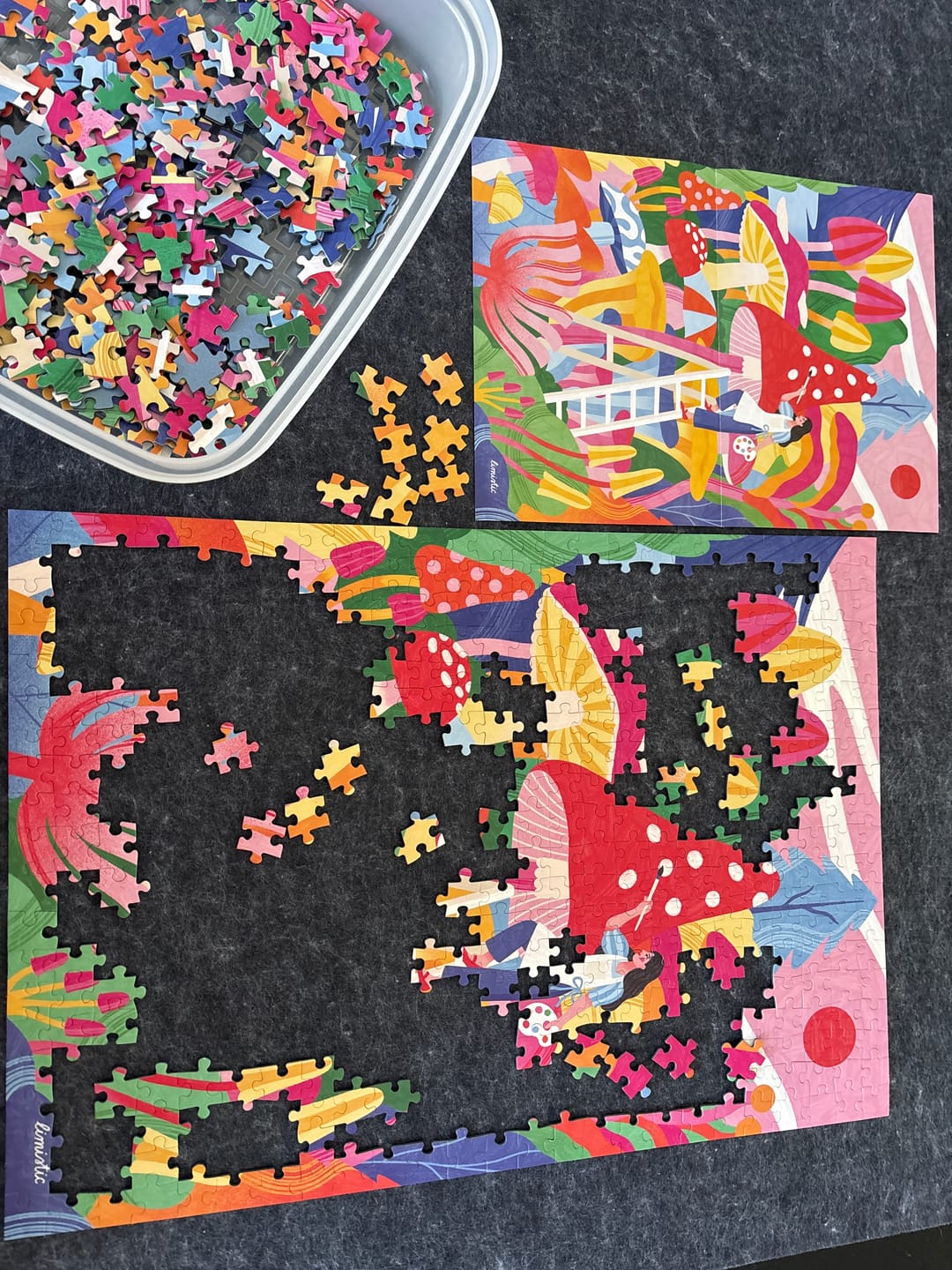 Customer photo review of Mycology Whimsy