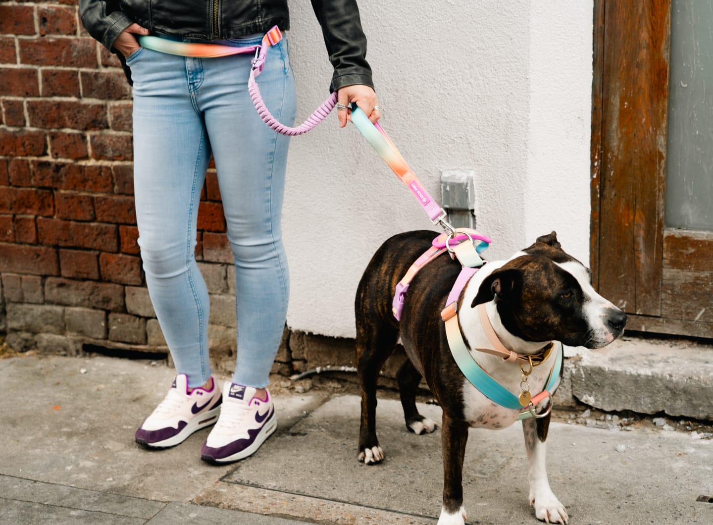 Customer photo review of Multipurpose Seatbelt Handsfree Leash & Poop Bag Holder Set - Pastel Icing