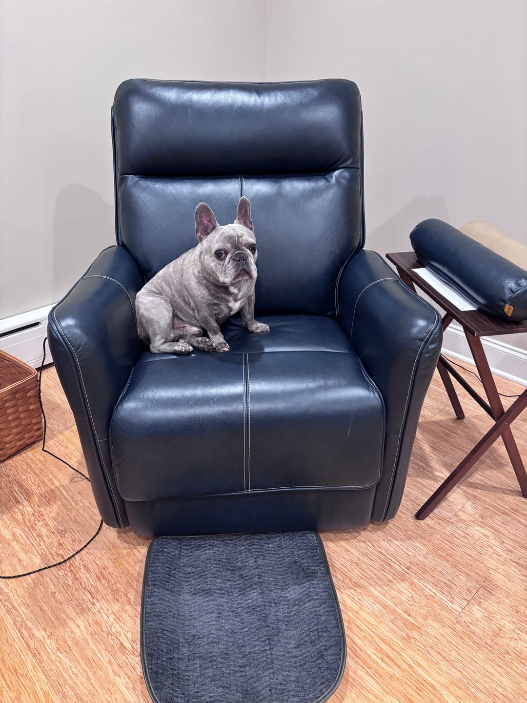 Customer photo review of 9219 Medium Top Grain Zero Gravity Power Lift Chair - Four Motor, Heat Massage