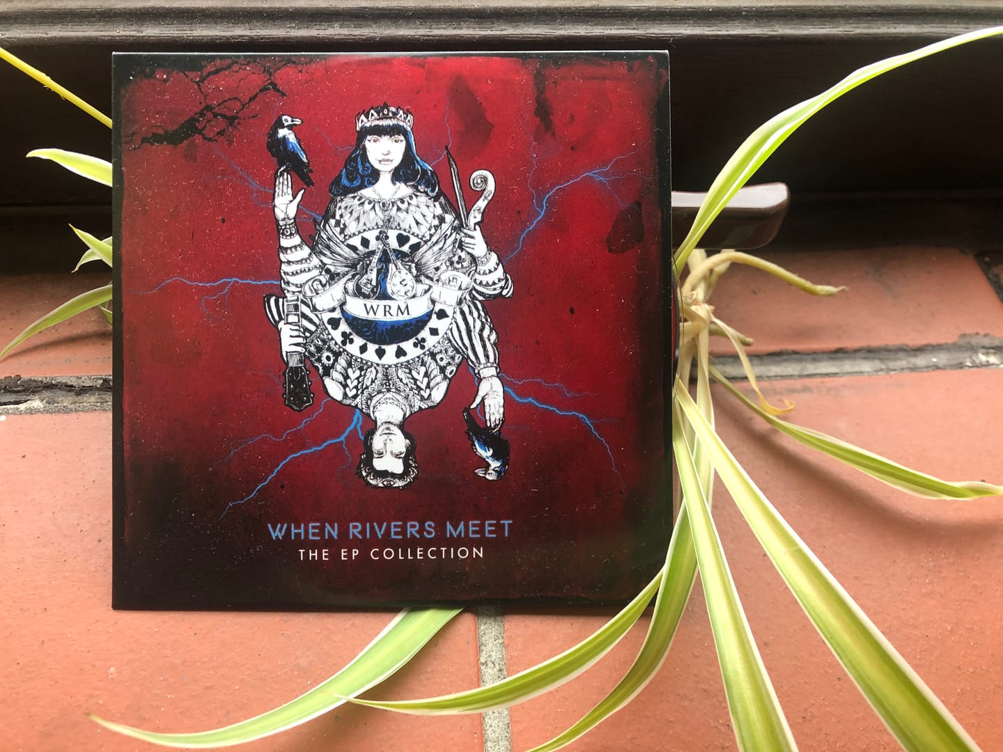 Customer photo review of FREE - The EP Collection - Physical CD