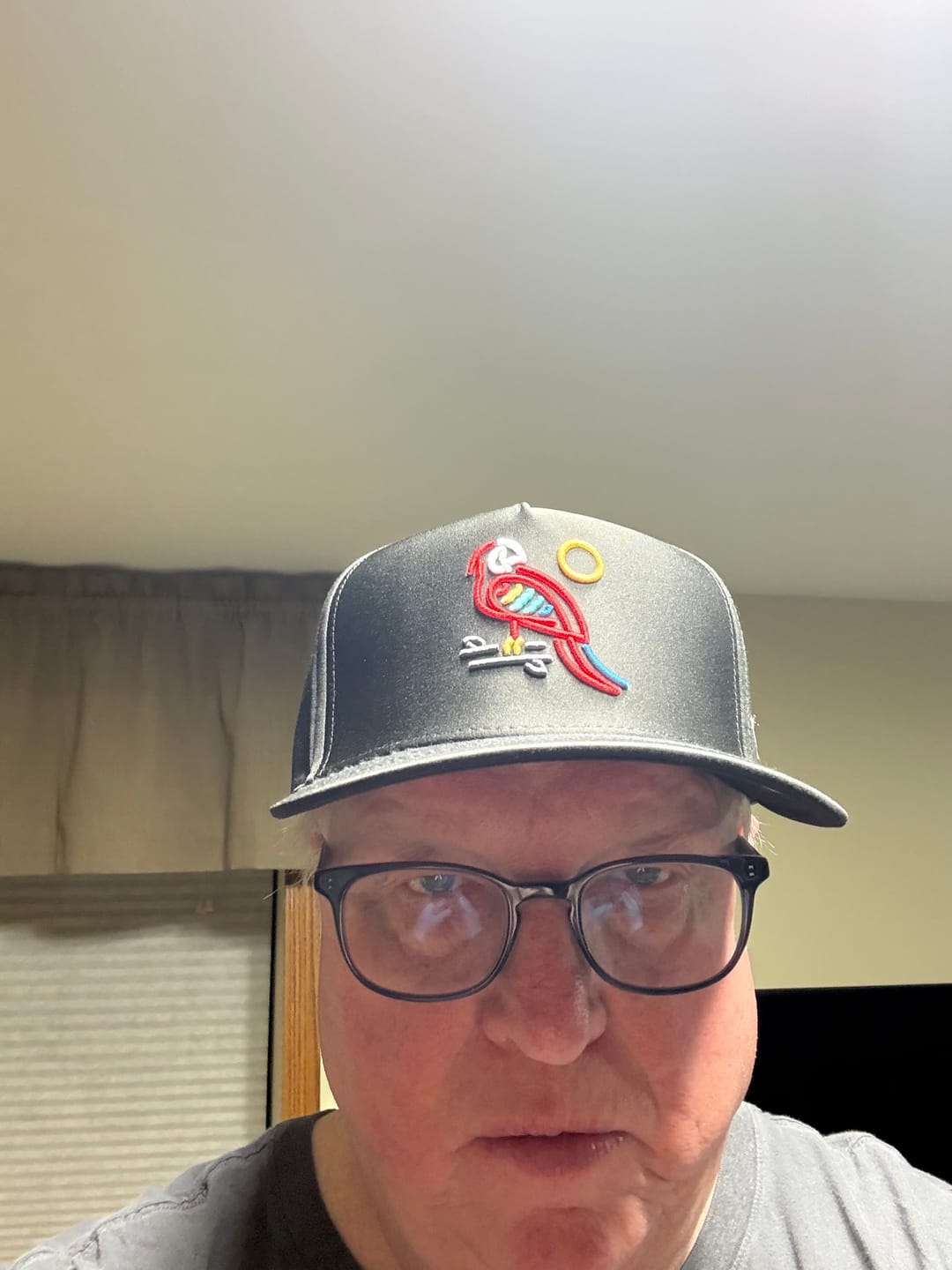 Customer photo review of Parrotdise Hat