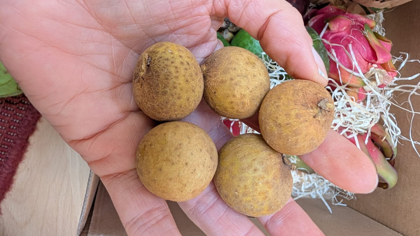 Customer photo review of Longan