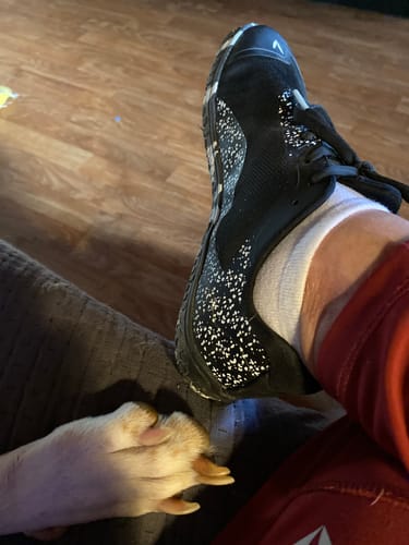 Asiakkaan jalassa musta, pilkullinen Vaistoa Lento -kenkä. Koiran tassu on vieressä.