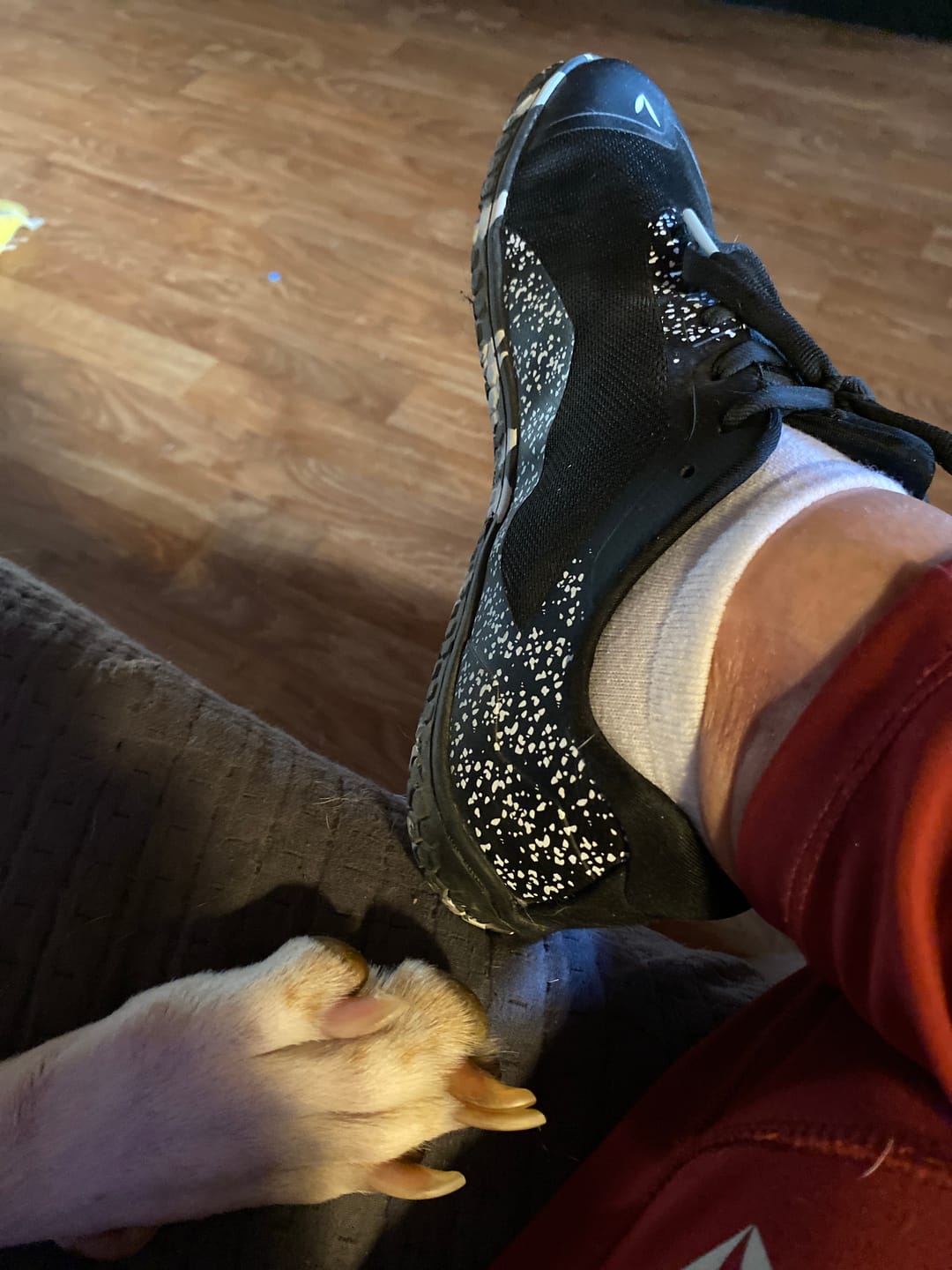 Customer photo review of Vaistoa Lento -paljasjalkajuoksukengät